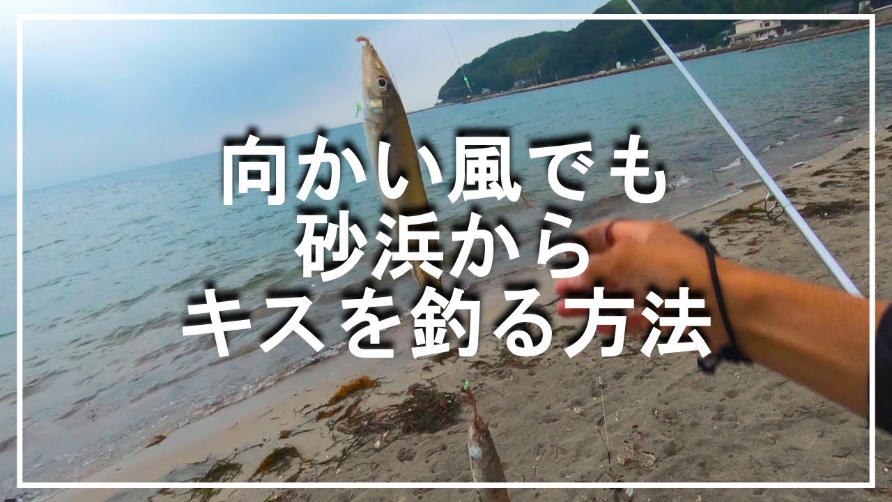 【キス釣り】向かい風でもサーフからキスを釣る方法 - YouTube