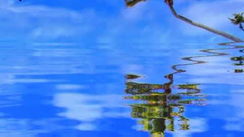 سورة القلم بصوت الشيخ محمد جبريل