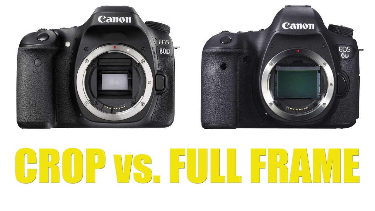 Why You Do Not Need a Full Frame Camera to Be a Successful Photographer