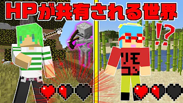 マイクラふうはや共有