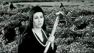 مراجعة فيلم الحرام