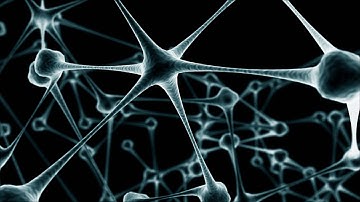 Virtual Connection - The Code of Evolution