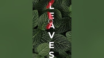 Quick mask - Short Photoshop Tutorial #photoshop #obaedakorani