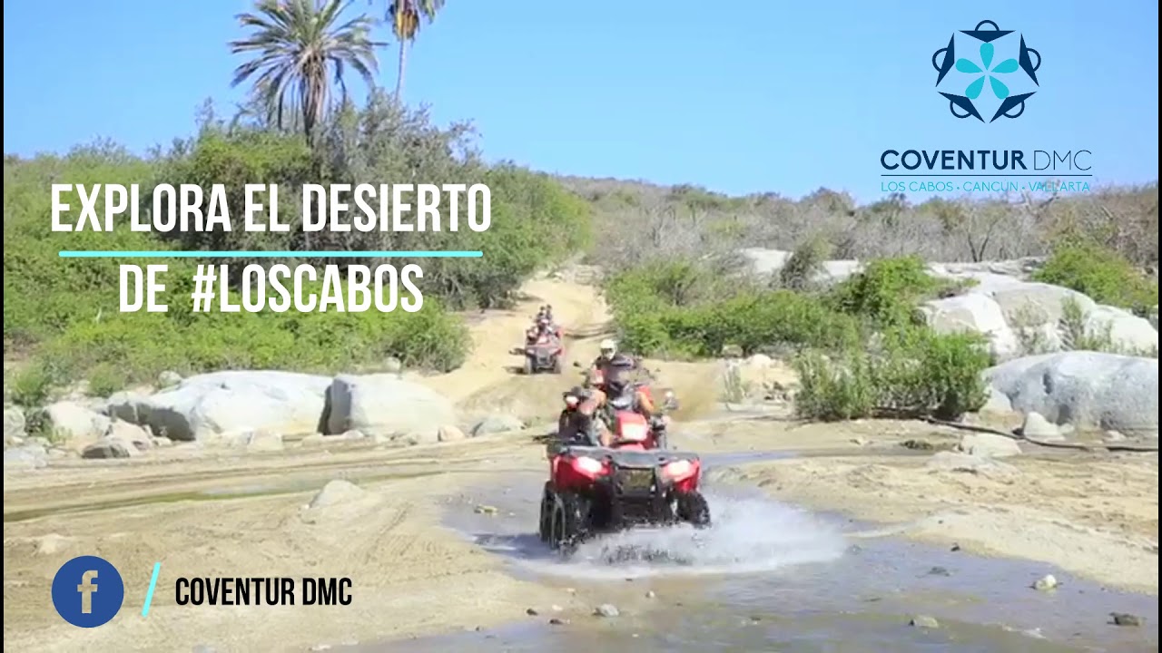 Explora el Desierto de los Cabos YouTube Explora el Desierto de los Cabos YouTube