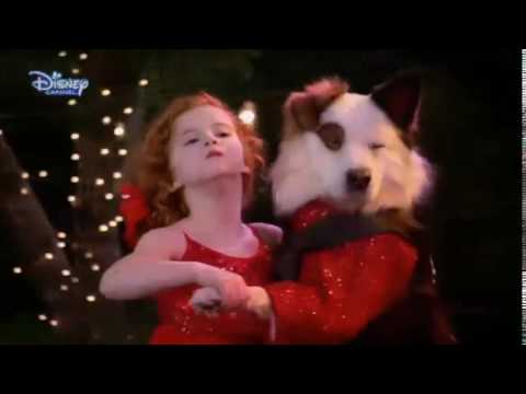 Disney Channel Türkiye - Köpek Stan Yazıyor - Ident
