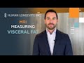 Visceral Fat - MRI Measuring Visceral Fat