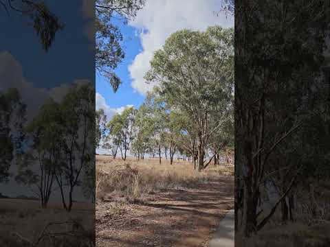 بخشی از شعر چاووشی اثر اخوان ثالث