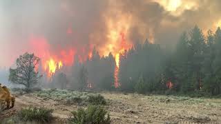 Oregon's Bootleg Fire Grows to Over 75,000 Acres