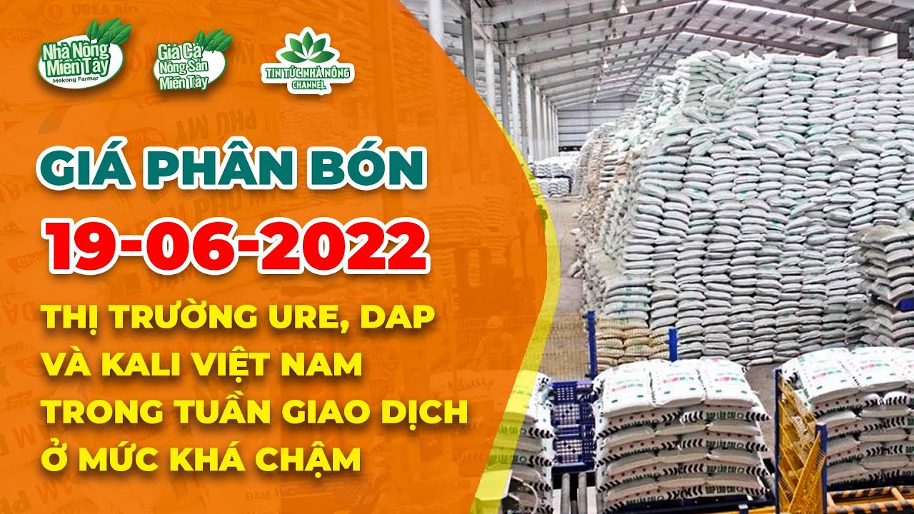 Giá phân bón hôm nay ngày 19/06/2022: Ure, DAP và Kali... - youtube