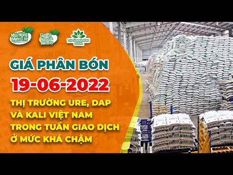 Video Giá phân bón hôm nay ngày 19/06/2022: Ure, DAP và Kali... - youtube
