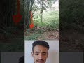 الحذر درع من الأخطاء فاستعمله دائما لايك اكسبلور Duet Funny Status Animals الحذر درع من الأخطاء فاستعمله دائما لايك اكسبلور Duet Funny Status Animals