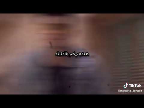عنبه مهرجان هنا القاهره