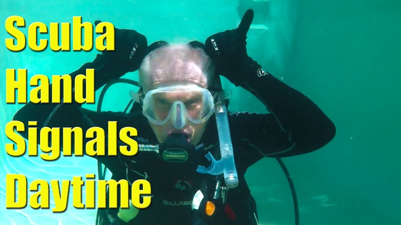 Scuba diving daytime hand signals - Sailing A B Sea bonus video