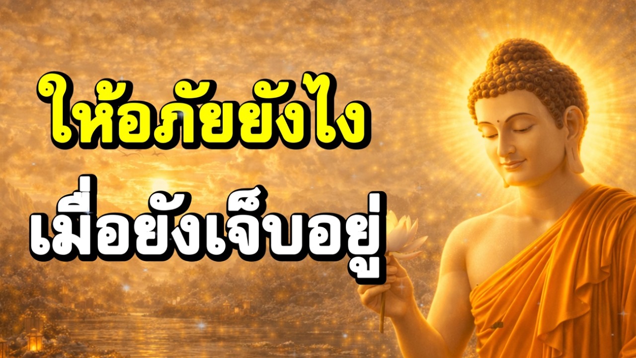 ให้อภัยยังไง…เมื่อยังเจ็บอยู่ | ฟังธรรมก่อนนอน | Ep.69