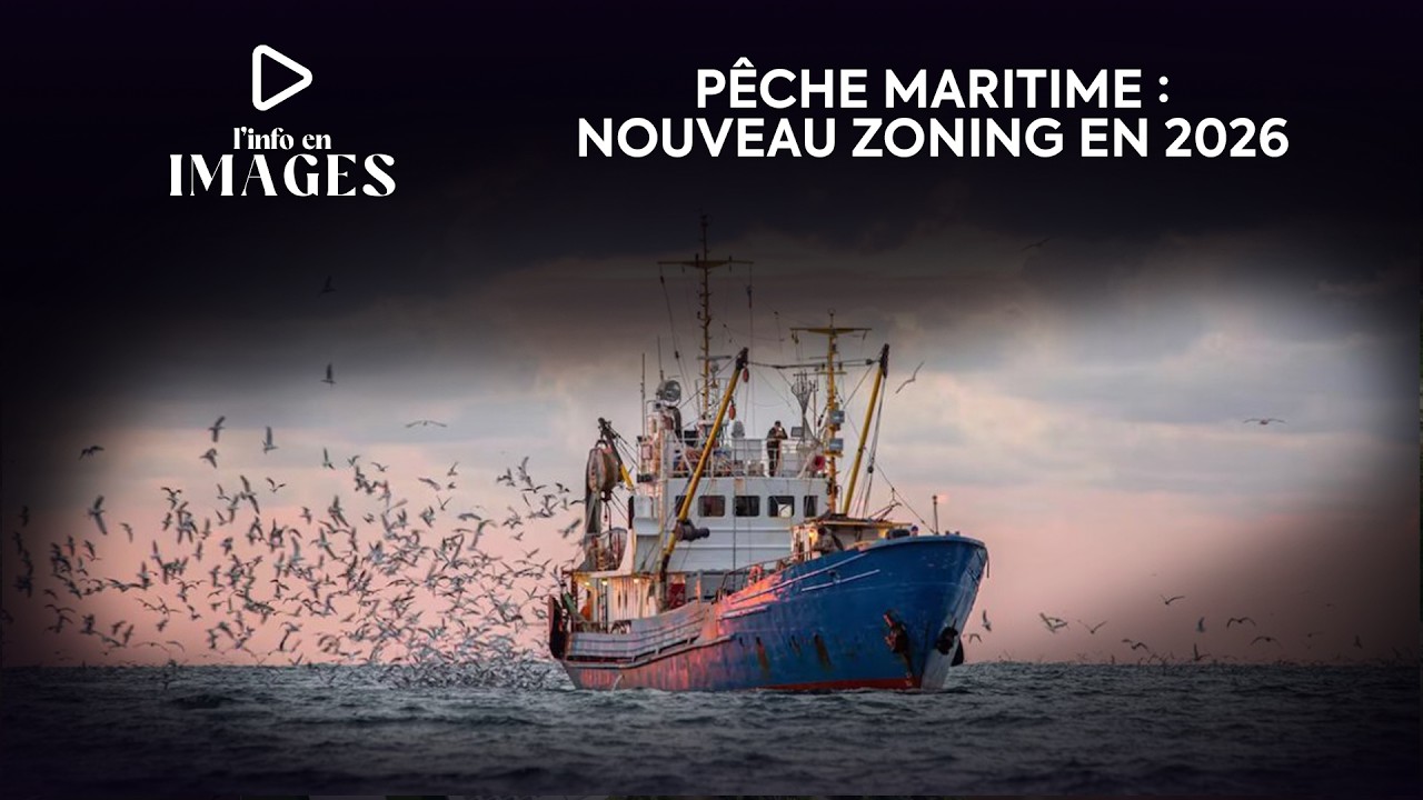 Pêche maritime: Nouveau zoning pour chalutiers et palangriers