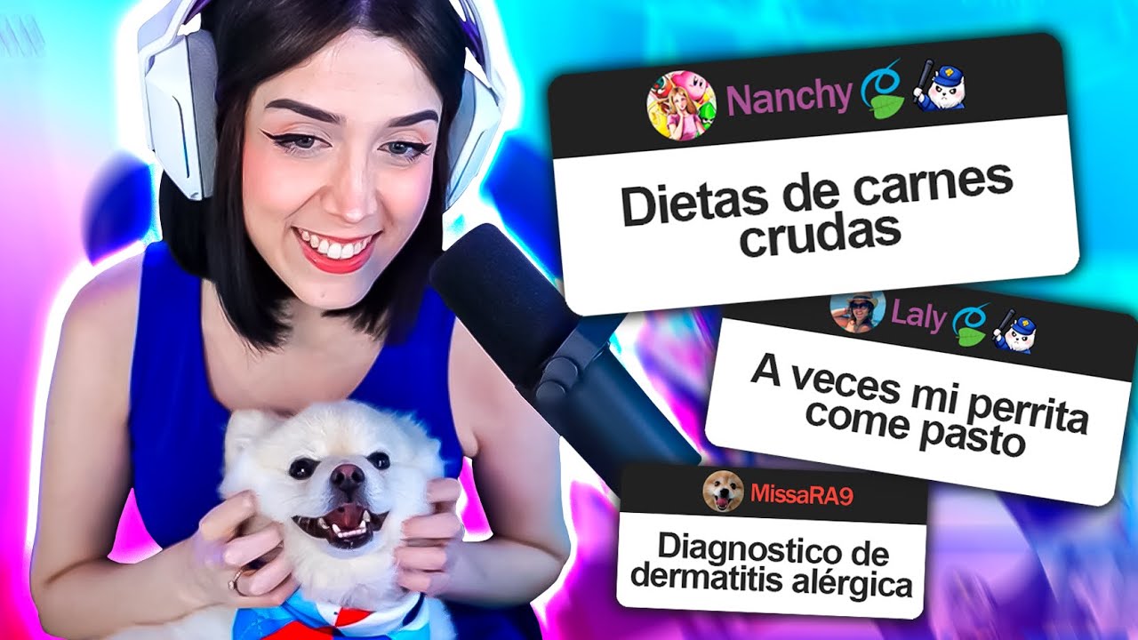 ¡Le cambié el alimento a mi mascota y esto fue lo que pasó! Hill's