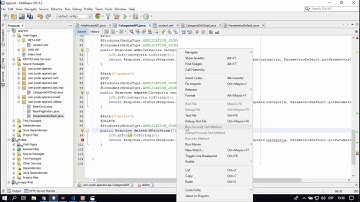 WEB SERVICE EN JAVA CON JAX-RS Y JERSEY. CRUD - 4/4 ACTUALIZAR Y ELIMINAR DAO + API