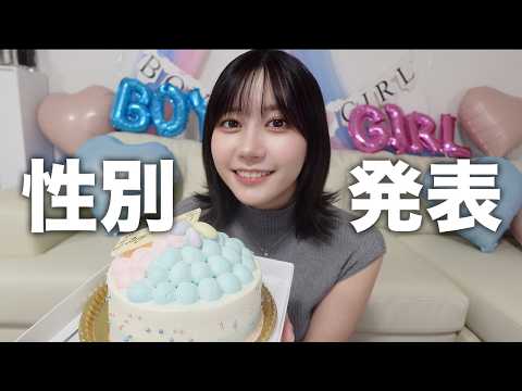 【夫初登場】サプライズで性別発表!ジェンダーリビールをします♡