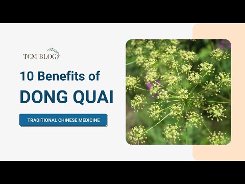 Video: Kas ir Dong Quai - uzziniet par Dong Quai Angelica audzēšanu un lietošanu