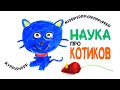 Научные факты о котиках [AsapSCIENCE]