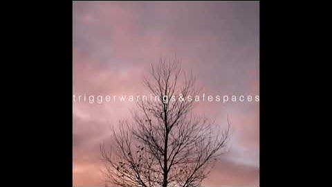 Trigger Warnings and Safe Spaces