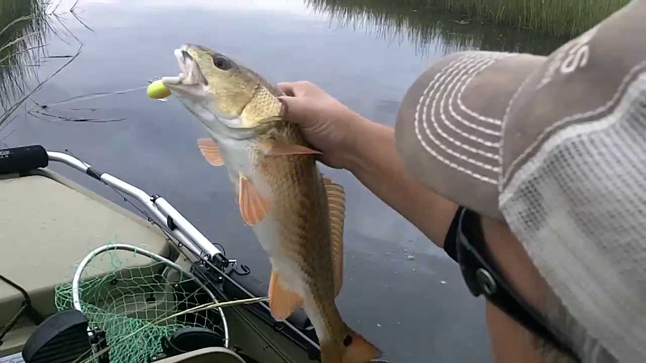 Kayak Red Fishing, Shell Beach LA YouTube