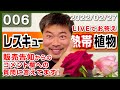 村長の直売所　3/1  21:00