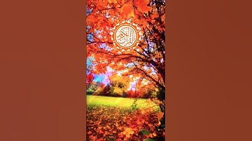 👰 🕌👰 surah nisa👰🌹 || سورة النساء ||🌹🌹 #viral #quranictranslation #quran #surhmulk #surah #الله