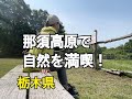 【只今日本一周中】№32あしかがパークと那須高原
