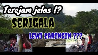 NGERI..‼️‼️TERNYATA BUKAN MITOS⁉️ADANYA SRIGALA DI LEWI CARINGIN HATI-HATI BAGI PARA PEMANCING..???