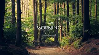 Royalty Free Music - silver6523 - Morning @SilvmediaDe