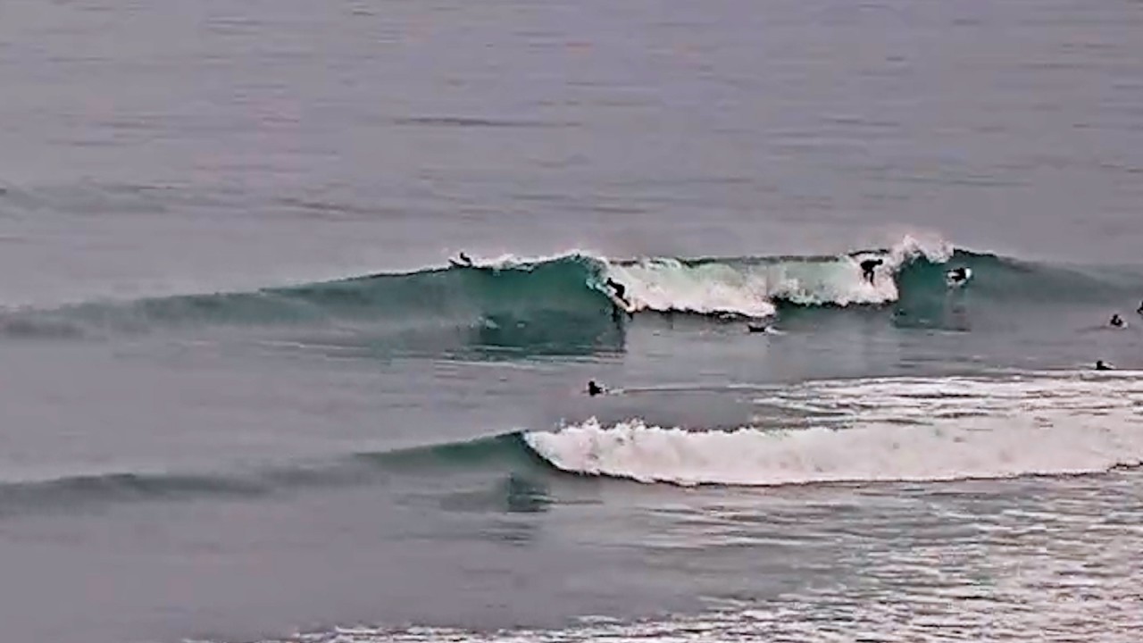 Clips