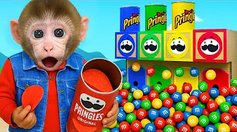 Monkey Choco Overcomes The Challenge To Get MM Candy | CHOCO Challenge US