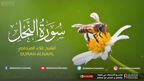 💚 الشيخ علاء المزجاجي - سوره النحل اجمل تلاوة عطرة تسمعها 💥💙👍