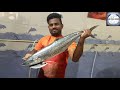 LIVE KING FISH CUTTING | SEER FISH FRY CUT | BY EXPERT FISH CUTTER | A.M FISH HOUSE | FISHERMAN