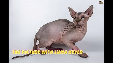 A Level Media - Evaluation Q4