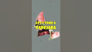 Ark Tapejara
