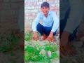 सादी नही करवाते है 😃😃#short #funny #comedy #tranding #youtubeshorts #ytshorts