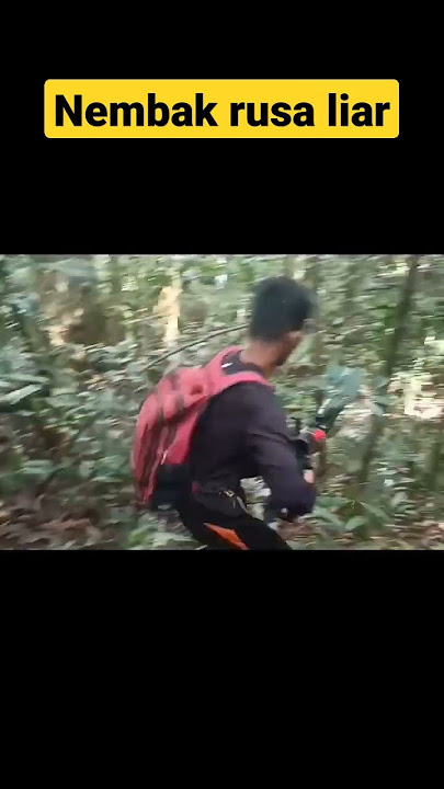 Nembak rusa liar pake PCP bocap 500cc, yg ga suka skip #nembakrusa #nembakkijang #shorts