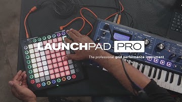 Novation // Launchpad Pro feat. Thavius Beck