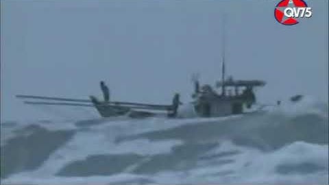 Tình em biển cả (Nguyễn Đức Toàn), trình bày NSƯT Thu Phương