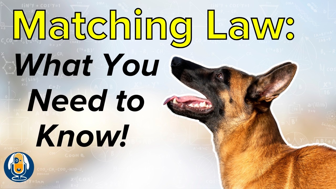 Matching Law In Dog Training: How To Get Consistent Behavior Without Corrections #288 #podcast