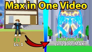 Roblox Blox Fruit Lv. 2300 Com Phoenix - Outros - DFG