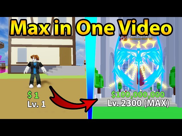 Going Level 1 To Level 2300 Max Level In One Video in Roblox Blox