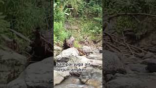alam liar