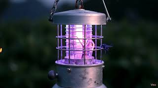 Immortal Bug vs. Zapper (12 Hours) — Soft Electric Crackle for Tinnitus, Sleep & Study screenshot 5