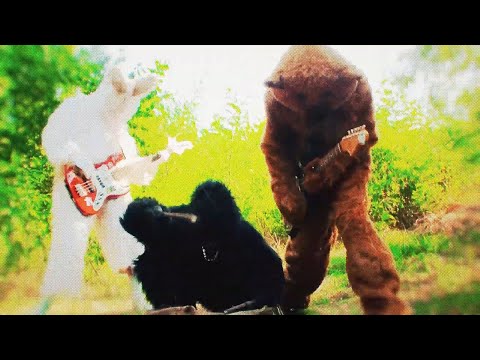 I'm a Sloth  - Hunting Season (Official Music Video)