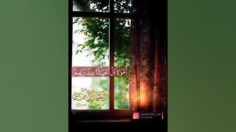 وَلَا تَحْسَبَنَّ ٱلَّذِينَ قُتِلُوا۟ فِى سَبِيلِ ٱللَّهِ أَمْوَٰتًۢا| بصوت القارئ رعد الكردي