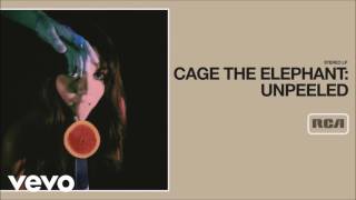 Video thumbnail of "Cage the Elephant- Right Before My Eyes (Unpeeled)"