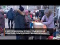 В Белгороде вновь прошла традиционная субботняя сельскохозяйственная ярмарка